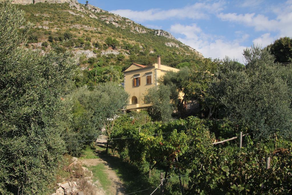 Agriturismo Antico Casale Colli Di San Pietro Piano di Sorrento Exterior photo